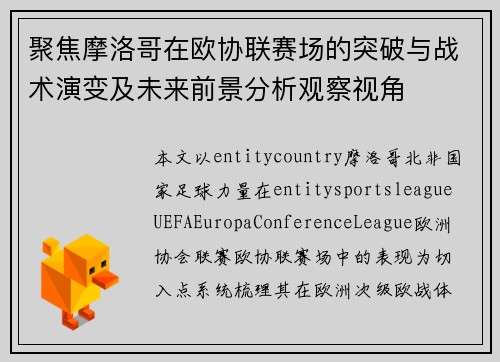 聚焦摩洛哥在欧协联赛场的突破与战术演变及未来前景分析观察视角